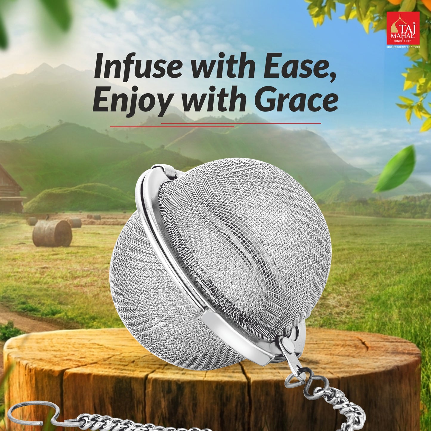 SS INFUSER WITH CHAIN